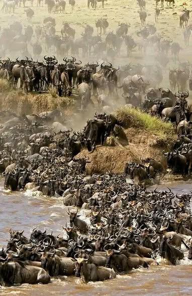 Classic Kenya From Nairobi to Coast