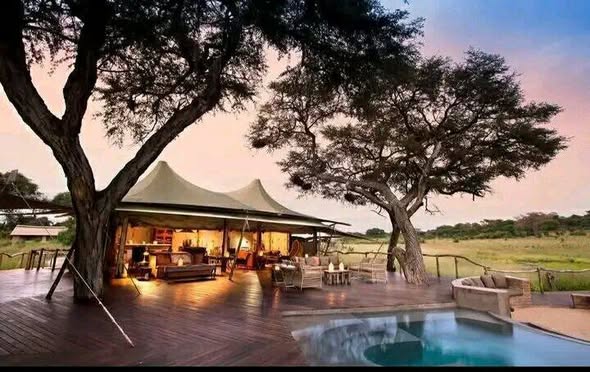 Botswana Safari Holidays photo 6