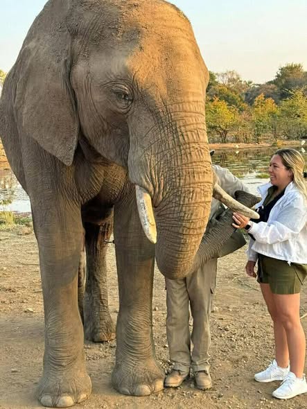 East Southern Africa Sightings photo 2