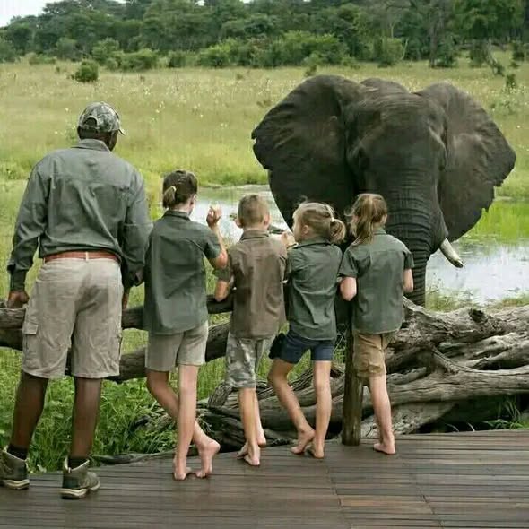 East Southern Africa Sightings photo 4