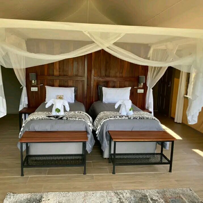 Luxurious Tented Camp photo 1