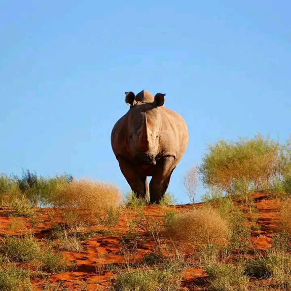 Namibia Safari Holidays