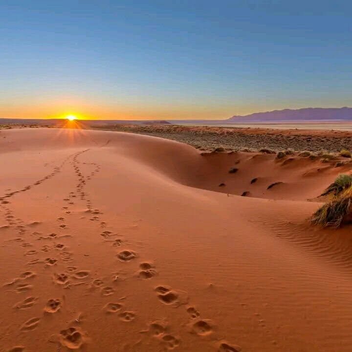 Namibia Safari Holidays photo 3