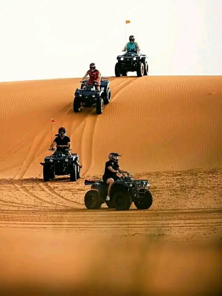 Namibia Safari Holidays photo 5