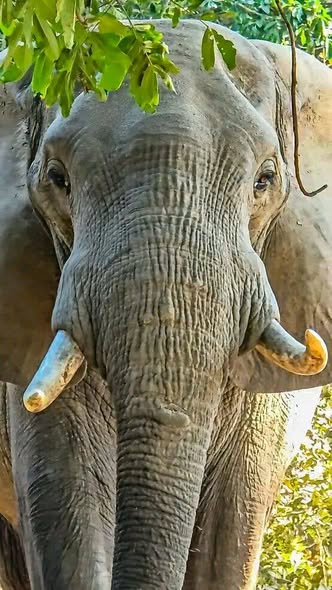 Tanzania Safari Holidays photo 6