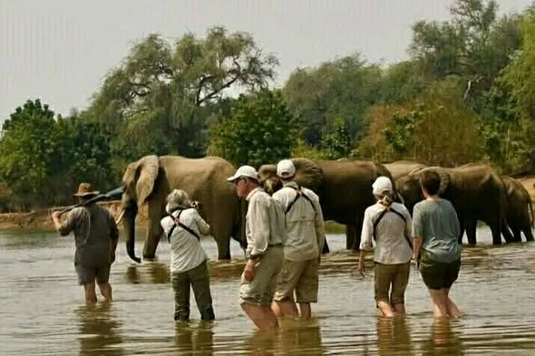Zambia Safari Holidays