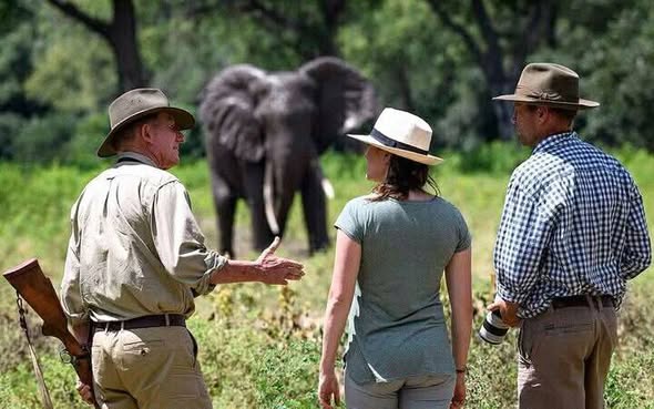 Zambia Safari Holidays photo 3